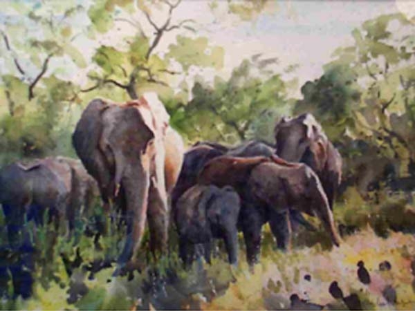 Elephant family