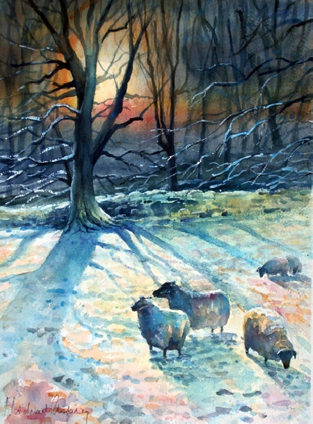 Winter sheep