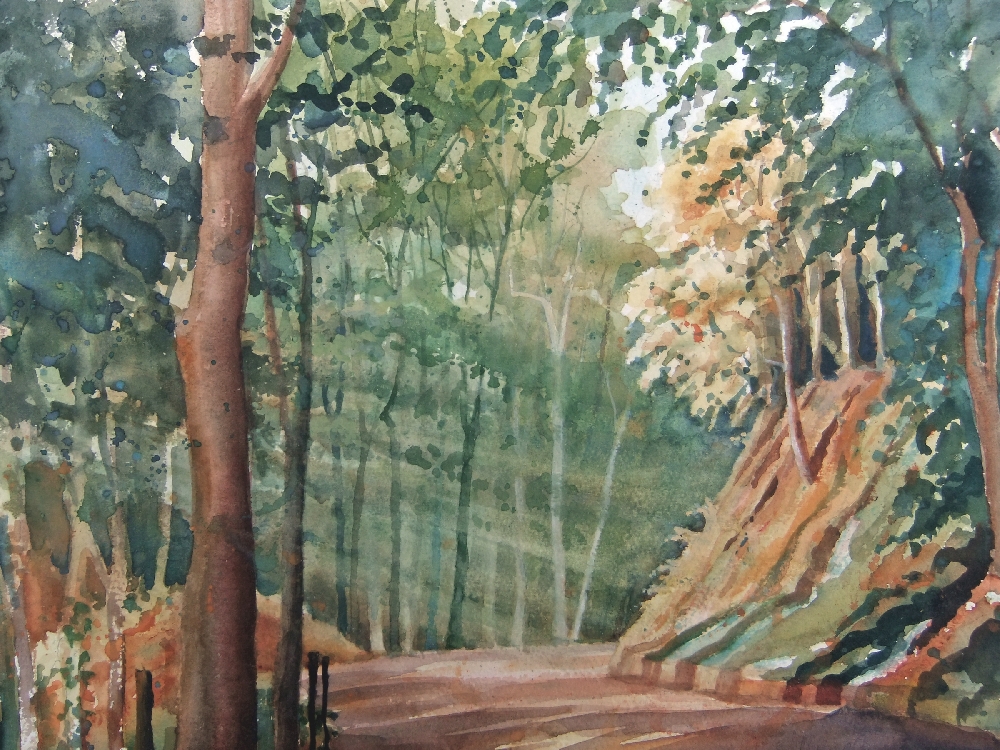 A bend in the forest track
