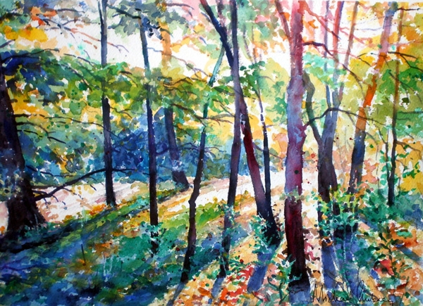 Spring in Heron Rogers Wood